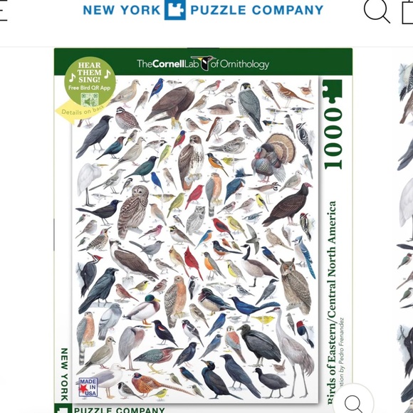 New York Puzzle Company Other - New York Puzzle Company 1000 Piece Puzzle